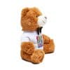 Teddy Bear with T-Shirt Monsters - Image 2